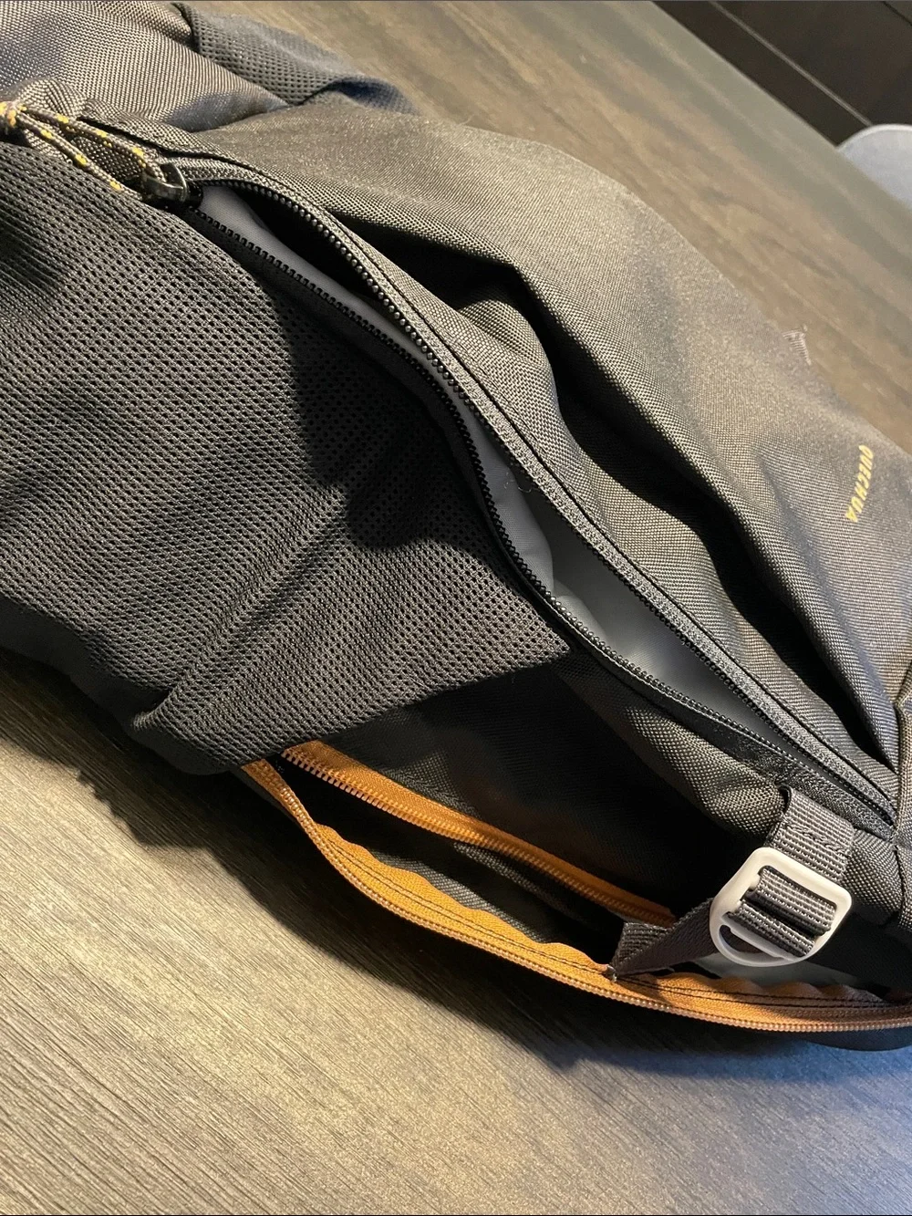 Quechua Black Backpack with Gray Straps